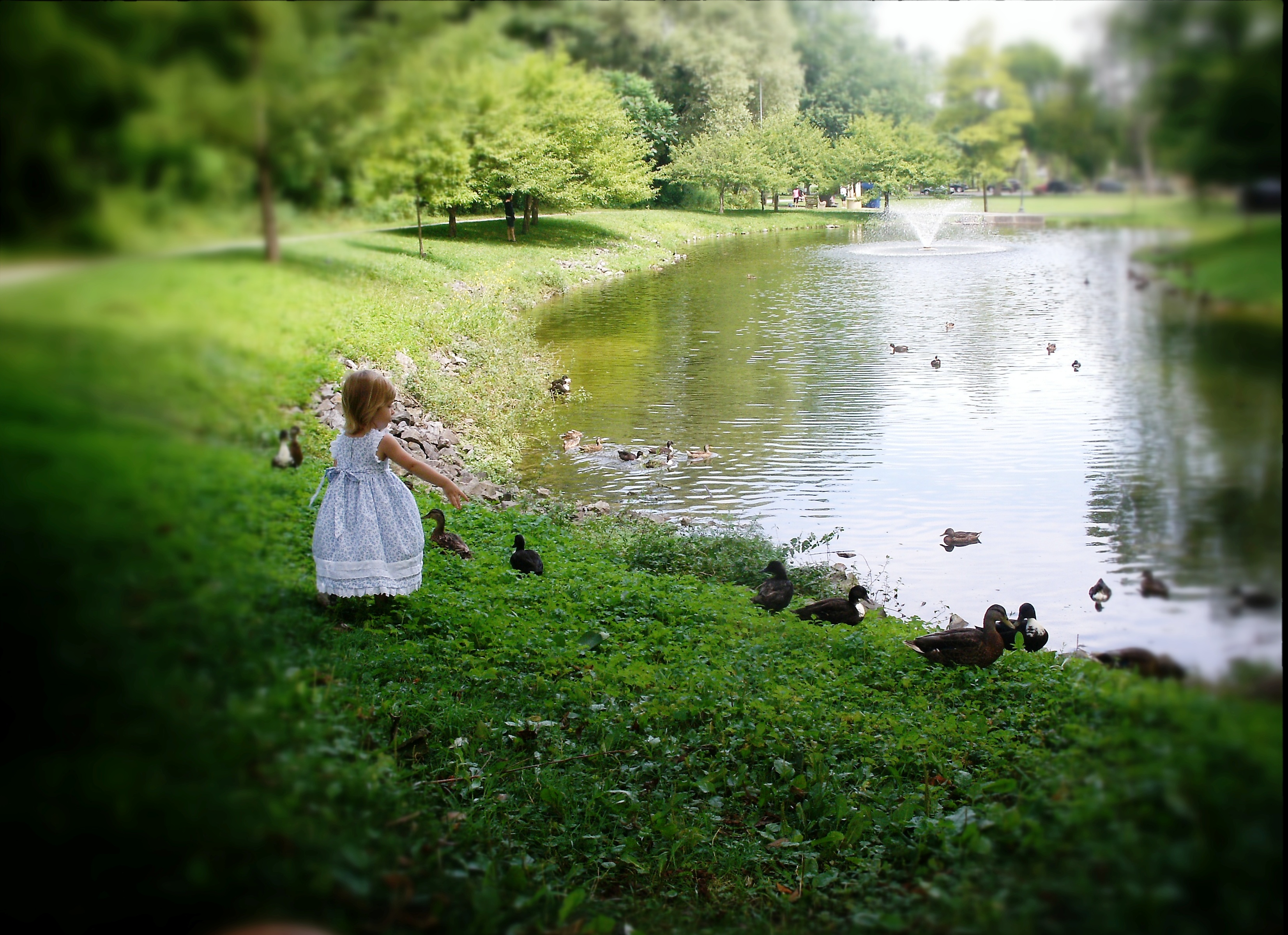 Girl in Saratoga's Congress Park with ducks in July 2013 by Heavenly Ryan